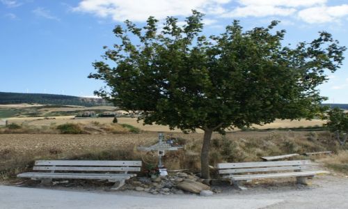 Zdjcie HISZPANIA / Pampeluna / Camino de Santiago / Na rozstaju drg