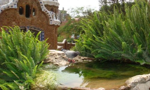 Zdjęcie HISZPANIA / Barcelona / Park Guell / wodopój