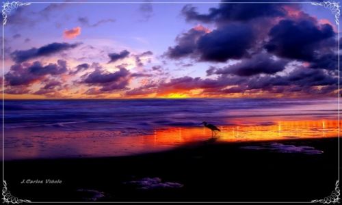 Zdjcie HISZPANIA / ANDALUCIA / CADIZ / ATARDECER ESPLENDIDA
