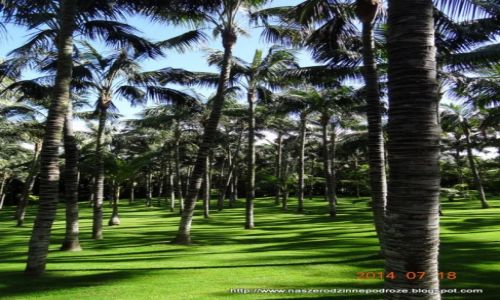 Zdjcie HISZPANIA / Teneryfa / Loro Park / Loro Park