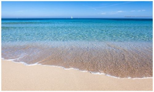 Zdjęcie HISZPANIA / Mallorca / Es Trenc / Mallorcas Beach
