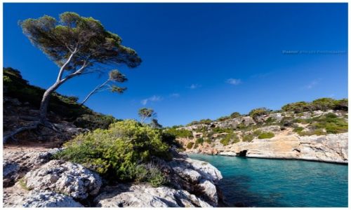 Zdjcie HISZPANIA / Mallorca / Cala del Moro / Cala del Moro