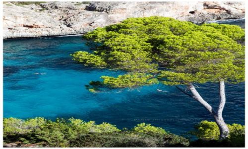 Zdjcie HISZPANIA / Mallorca / Cala del Moro / Down to the Sea
