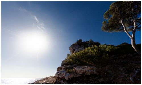 Zdjcie HISZPANIA / Mallorca / Cala del Moro / Mediteranean