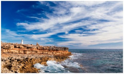 Zdjcie HISZPANIA / Mallorca / Cap ses Salines / Cap ses Salines