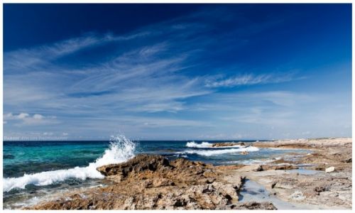 Zdjcie HISZPANIA / Mallorca / Cap ses Salines / Coast of Mallorca
