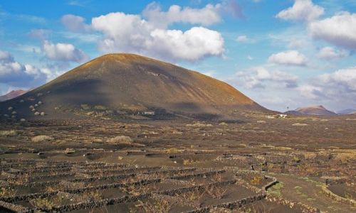 Zdjcie HISZPANIA / Lanzarote / La Geria / Winnica