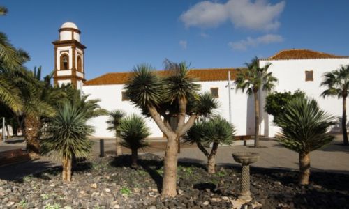 Zdjcie HISZPANIA / Fuerteventura / Antiqua / Antiqua