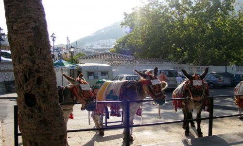 Zdjecie HISZPANIA / Andaluzja / Mijas / Miejscowe taxi