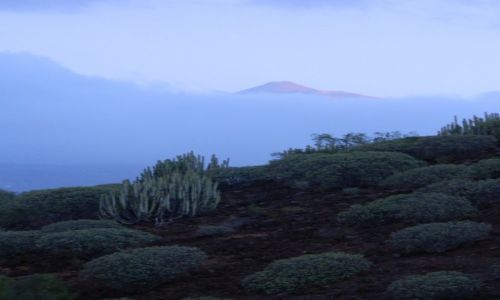Zdjcie HISZPANIA / teneryfa / wulkan teide  / teide we mgle..