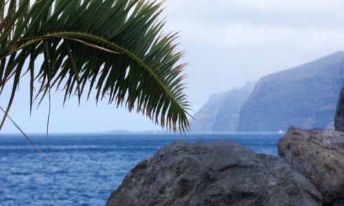 Zdjecie HISZPANIA / Teneryfa / Los Gigantes / Palma