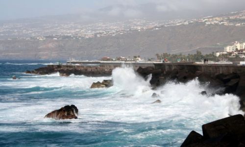 Zdjcie HISZPANIA / Teneryfa / Puerto de la Cruz / Promenada nad oceanem
