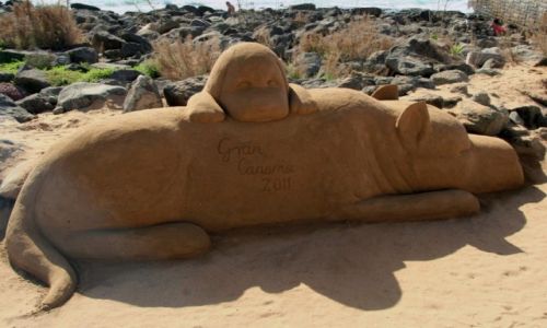 Zdjcie HISZPANIA / Gran Canaria / Maspalomas / Pieski z piasku