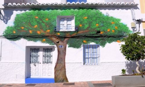 Zdjcie HISZPANIA / --- / Nerja / drzewo