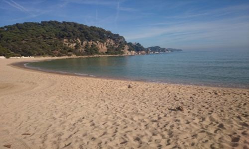 Zdjcie HISZPANIA / Katalonia / Blanes / Katalonia- Blanes