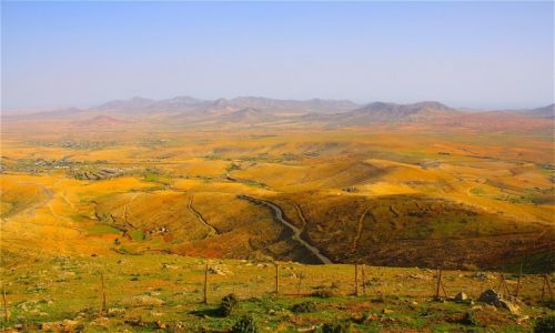 Zdjecie HISZPANIA / Wyspy Kanaryjskie / Fuertaventura / wyspa