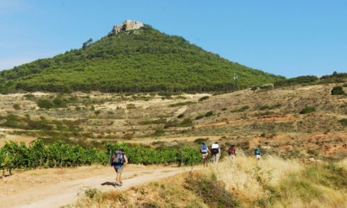 Zdjcie HISZPANIA / Nawarra / Camino / W drodze do Santiago