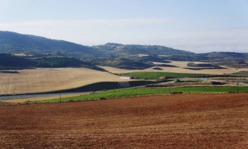 Zdjecie HISZPANIA / La Rioja  / Camino de Santiago / Wrd pl i cieek