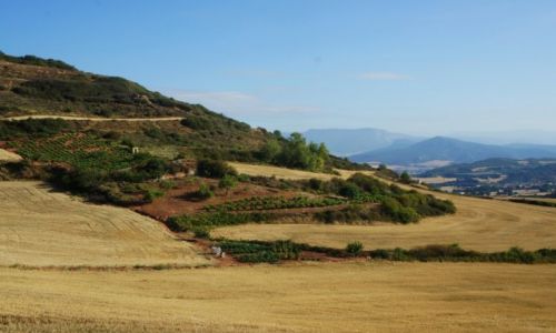 Zdjcie HISZPANIA / Navarra  / Sansol / Pola i poletka