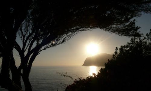 Zdjecie HISZPANIA / Madera / Funchal / Inna barwa zachodzcego soca