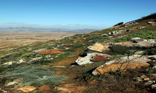 Zdjcie HISZPANIA / Fuerteventura/Wyspy Kanaryjskie / Mirador Guise y Ayose / cieka