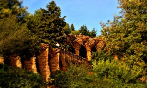 Zdjecie HISZPANIA / - / Barcelona / Przyroda i architektura w Parku Guell