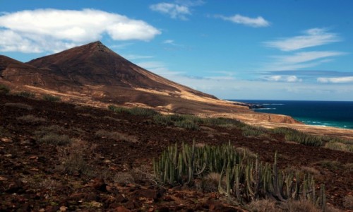 Zdjecie HISZPANIA / Fuerteventura/Wyspy Kanaryjskie / Pwysep Jandia / Plaa Cofete