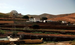Zdjecie HISZPANIA / Fuerteventura/Wyspy Kanaryjskie / Dolina w. Ines / Farma