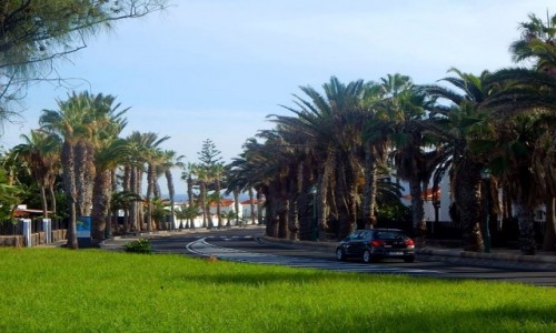 Zdjcie HISZPANIA / Fuerteventura / Caleta de Fuste / ;)