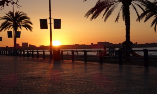 Zdjecie HISZPANIA / Costa blanca / Alicante / Alicante