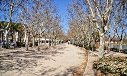 Zdjęcie HISZPANIA / Madryt / Madryt / Zima w Madrycie