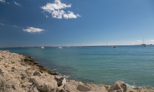 Zdjecie HISZPANIA / Majorka / Majorka / Palma de Mallorca