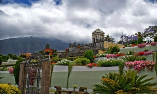 Zdjcie HISZPANIA / Teneryfa / La Orotava / La Orotava- Ogrody Wiktorii Teneryfa﻿