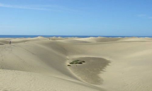 Zdjecie HISZPANIA / Wyspy Kanaryjskie / Maspalomas / Wydmy