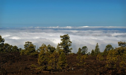 Zdjęcie HISZPANIA / Teneryfa / Park Teide / Ponad chmurami