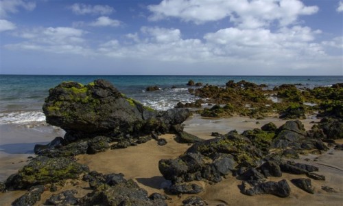 Zdjęcie HISZPANIA / LANZAROTE / PUERTO DEL CARMEN / potwór na plaży