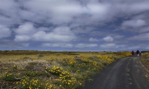 Zdjęcie HISZPANIA / Lanzarote / okolice Hoya de la Pila / przed siebie
