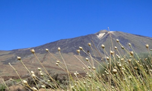 HISZPANIA / Wyspy Kanaryjskie / Teneryfa / Pico del Teide (1)