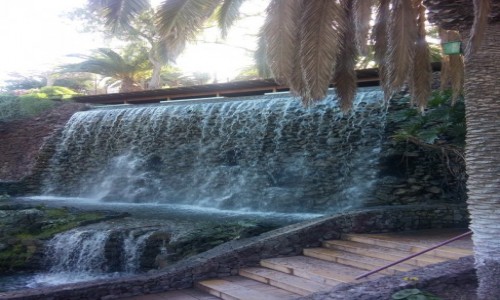 Zdjecie HISZPANIA / - / teneryfa / teneryfa