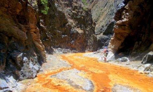 HISZPANIA / Wyspy Kanaryjskie / La Palma / Canion