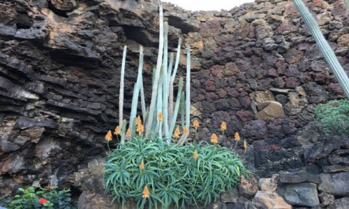 Zdjcie HISZPANIA / xxx / Lanzarote / Lanzarote