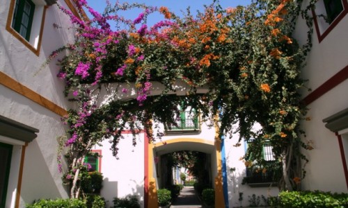 Zdjcie HISZPANIA / Gran Canaria / Puerto de Mogan / Kolorowo 2