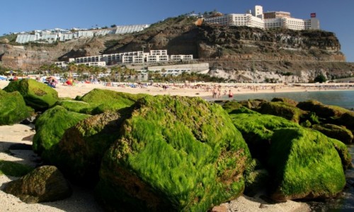 Zdjcie HISZPANIA / Gran Canaria / Taurito / Playa Amadores 2