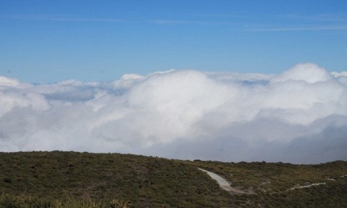 Zdjecie HISZPANIA / La Palma / La Palma / Droga w chmurach