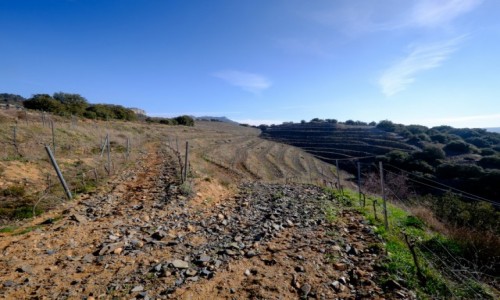 HISZPANIA / Katalonia / Priorat / Winorol na skaach