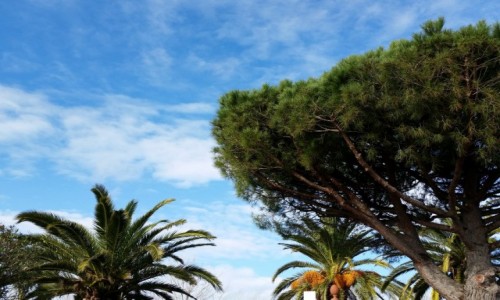 Zdjecie HISZPANIA / Katalonia / Tarragona / Blue sky