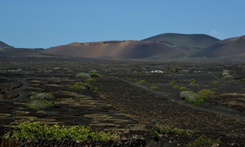 Zdjecie HISZPANIA / Park Timanfaya / Lanzarote / Kosmiczna przestrze