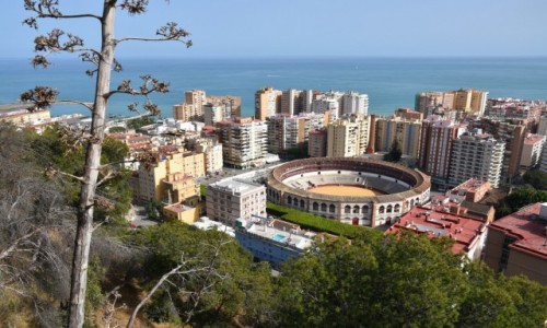 Zdjecie HISZPANIA / Andaluzja / Malaga, Plaza de Toros / Widok na aren walk bykw  