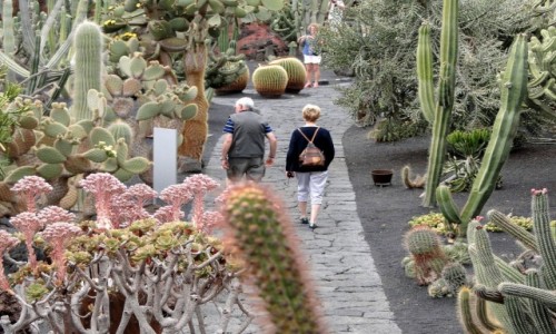 HISZPANIA / Wyspy Kanaryjskie / Lanzarote / Spacerek wrd kaktusw.