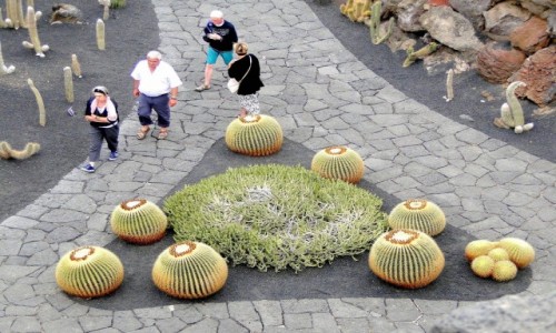 HISZPANIA / Wyspy Kanaryjskie / Lanzarote / W kaktusowym ogrodzie.